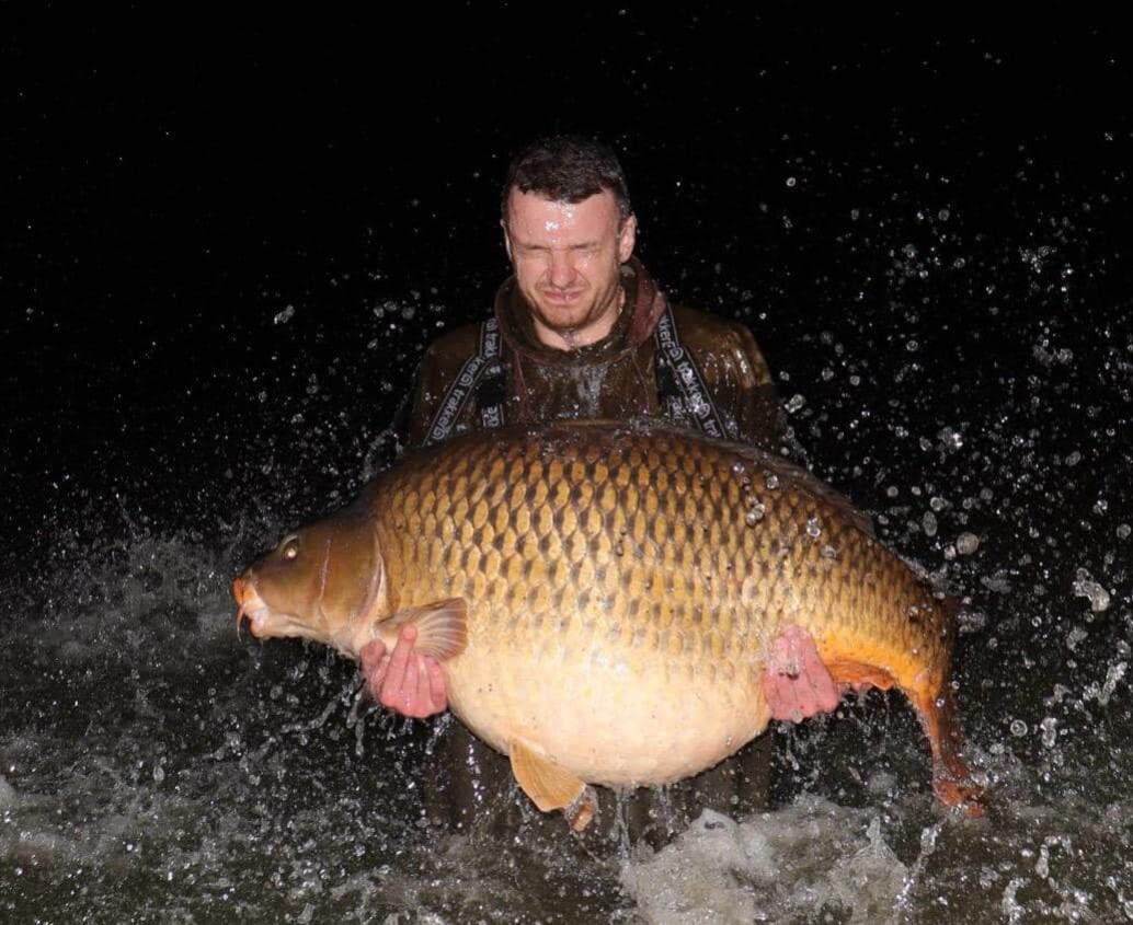 An immaculate 84lb common carp